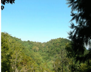 OBCT 2013 Winner Madison 2 300x236