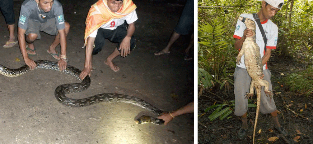 OBCT 2013 Winner Madison 2