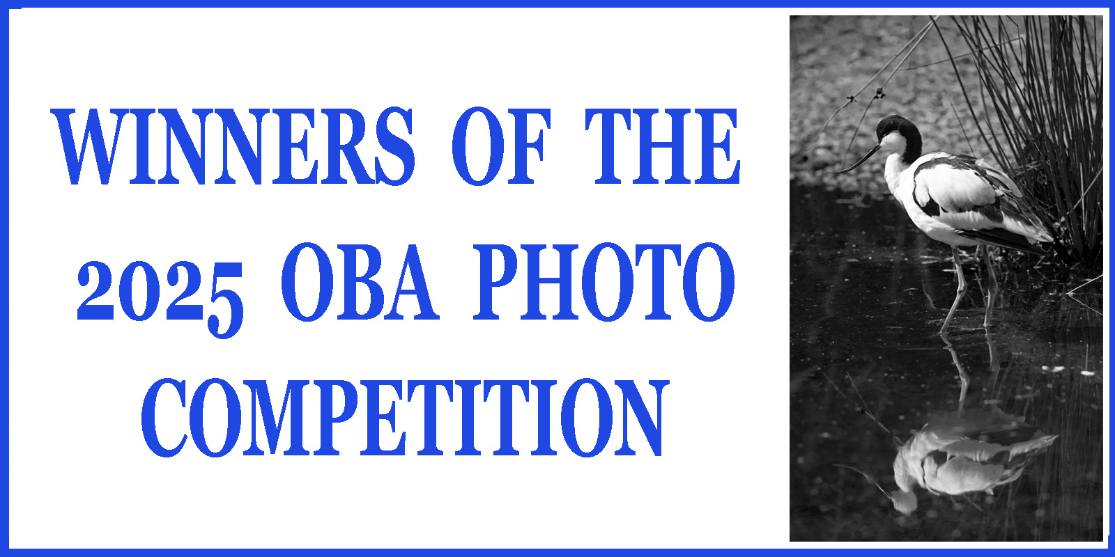 Photo Comp 25 Winners